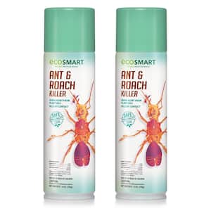 14 oz. Natural Ant and Roach Killer with Plant-Based Rosemary Oil and Peppermint Oil, Aerosol Spray Can (2-Pack)