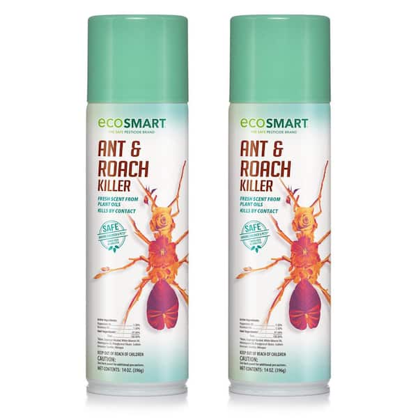 EcoSmart 14 oz. Natural Ant and Roach Killer with Plant-Based Rosemary Oil and Peppermint Oil, Aerosol Spray Can (2-Pack)