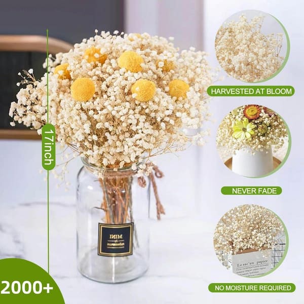 5 in. Ivory White Artificial Babys Breath Branch Stem 17 in. Color