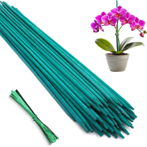50-Pack Bamboo Plant Stakes 18 in. Sticks Garden StakesPlant Support Stakes for Indoor/Outdoor Plants-Green