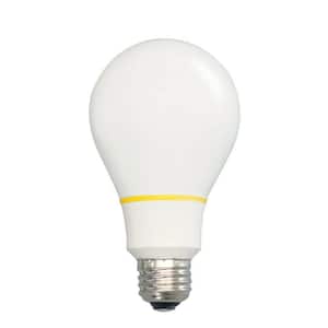 60W Equivalent Warm White A19 Tesla Light Bulb