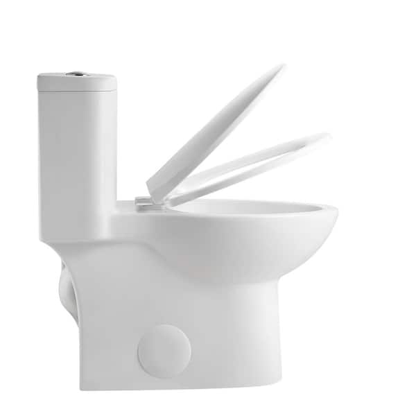 Dual Flush One-Piece Toilet with ADA 17 in. Chair Height, Tornado Siphonic Flush and Rimless Bowl, 12 in. S-Trap