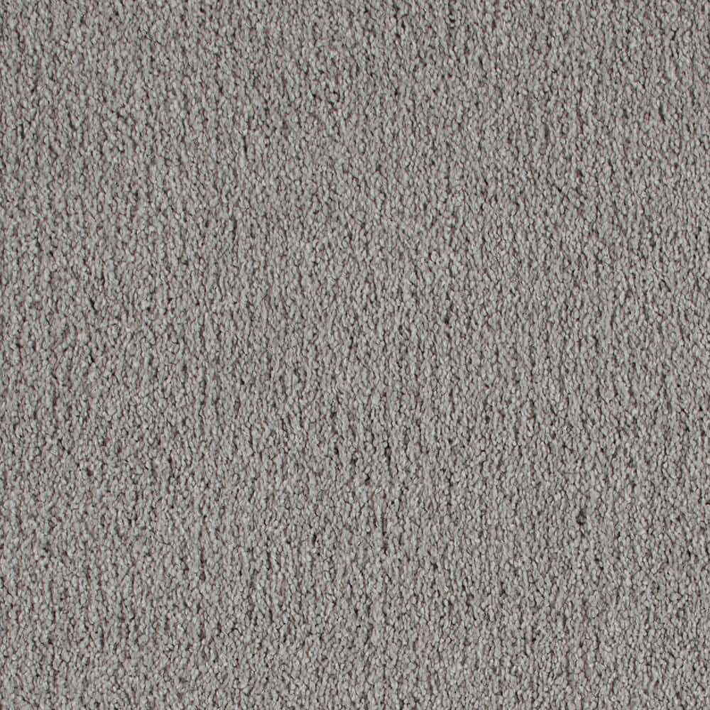 8 in. x 8 in. Texture Carpet Sample - Northern Hills II -Color Raviens price history on PriceWatchPro