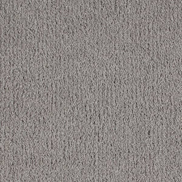 Lifeproof with Petproof Technology 8 in. x 8 in. Texture Carpet Sample - Northern Hills II -Color Raviens