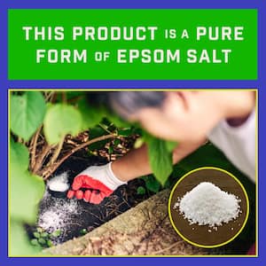7 lb. 2,900 sq. ft. Epsom Salt for Plants, Lawns and Gardens
