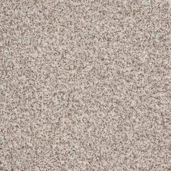 TrafficMaster Carpet Sample-Leading Edge - Color Seashell Texture 8 in. x 8 in.