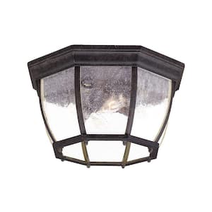 Flushmount Collection Ceiling-Mount 4-Light Black Coral Outdoor Light Fixture
