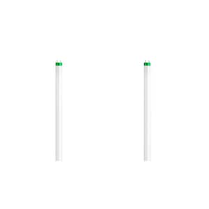 32-Watt 4 ft. Bright White Linear T8 Fluorescent Tube Light Bulb (2-Pack)