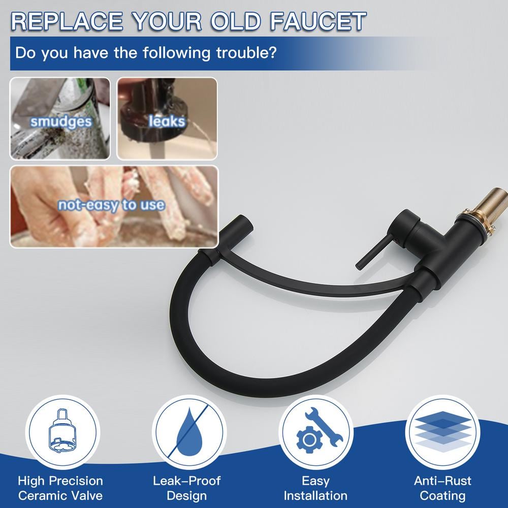 Matte Black Pull-Out Spray Single Handle Kitchen Faucet