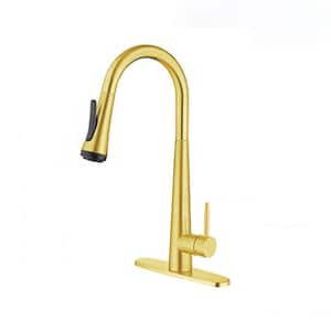 RN Single Handle Pull Down Sprayer Kitchen Faucet with 4 Modes in Brushed Gold