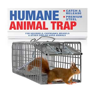 Heavy-Duty Outdoor Animal Cage Trap Catch Release for Squirrels, Chipmunks, Rabbits and Skunks, Small 18 x 5 x 5, 1-Pack