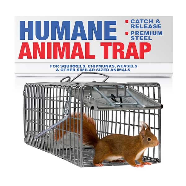 Heavy-Duty Outdoor Animal Cage Trap Catch Release for Squirrels, Chipmunks, Rabbits and Skunks, Small 18 x 5 x 5, 1-Pack