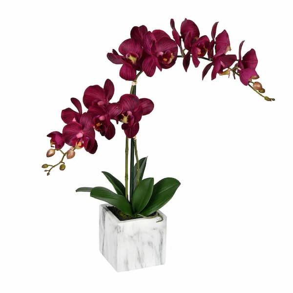 Vickerman 22 in. Dark Purple Artificial Phalaenopsis Orchid Floral Arrangement in Pot