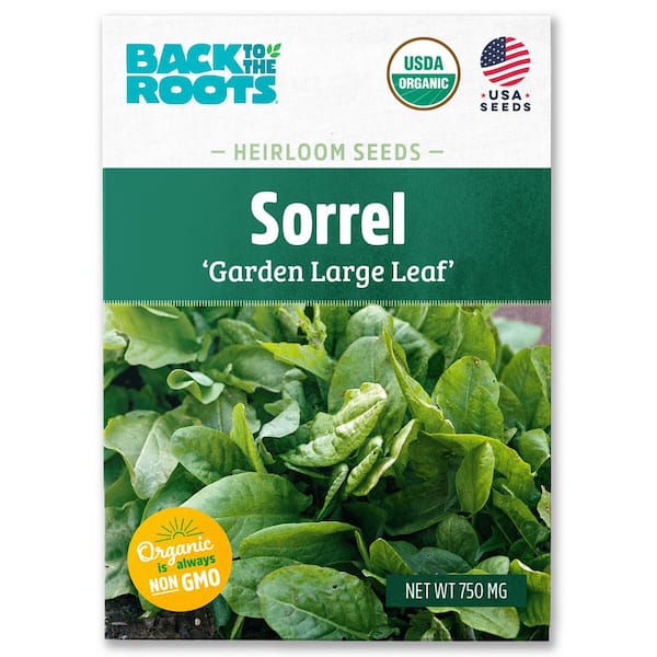 Back to the Roots Organic Sorrel Garden Large Leaf Heirloom Vegetable Seeds