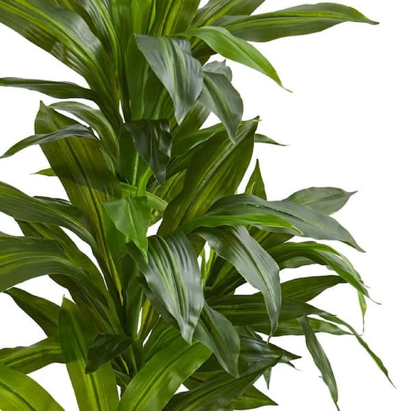 Reviews for Nearly Natural Real Touch 4 ft. Indoor Dracaena
