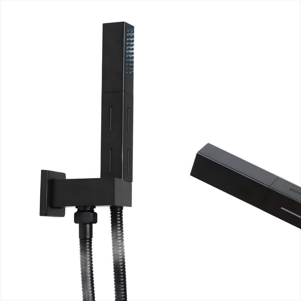 1-Piece 2 in 1 Function Handheld Shower Sprayer Head in Black with 59 in. Hose and Adjustable Shower Wand Holder price history on PriceWatchPro