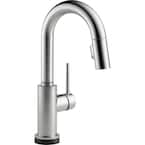 Trinsic Single-Handle Pull-Down Sprayer Bar Faucet Featuring Touch2O Technology in Arctic Stainless