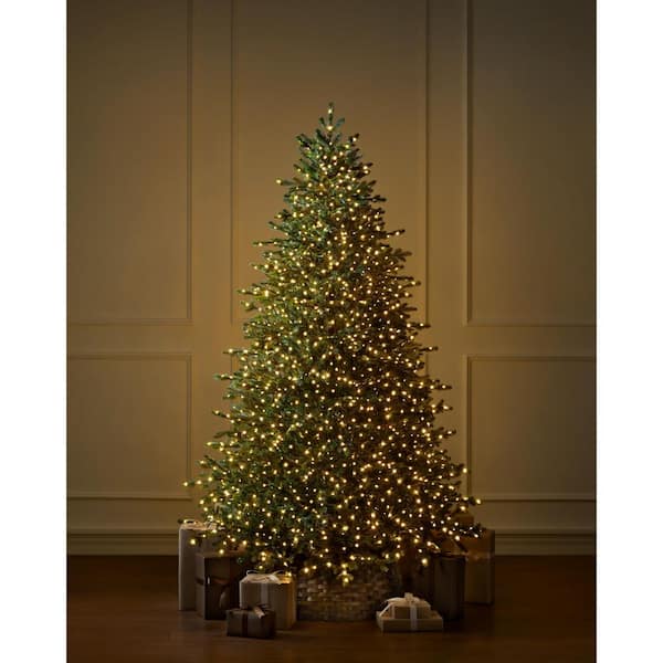 7.5 ft Elegant Twinkling Grand Fir LED Pre-Lit Artificial Christmas Tree with Timer T32