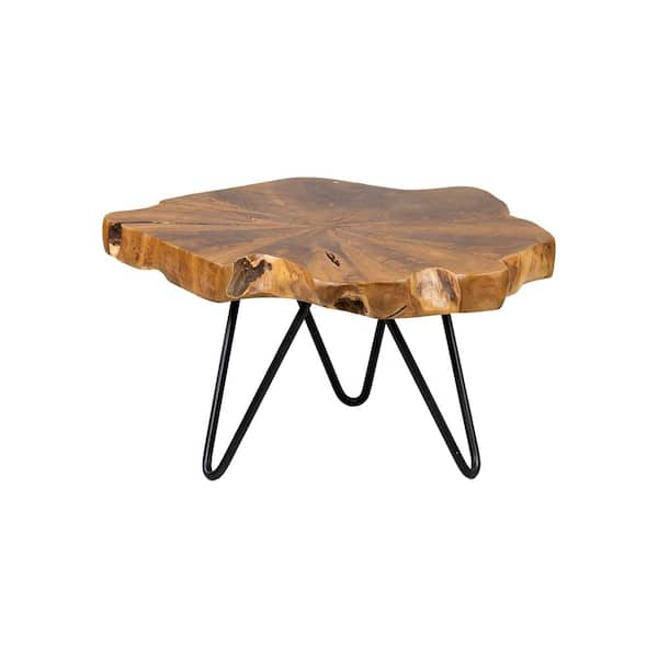 East At Main Misool 11 in. Natural Live Edge Teak Riser with Iron Base ...