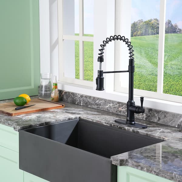 2-Spray Patterns Single Handle Pull Down Sprayer Kitchen Faucet with Deckplate and Water Supply Hoses in Matte Black