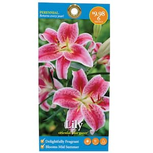 Lily - Flower Bulbs - Garden Flowers - The Home Depot