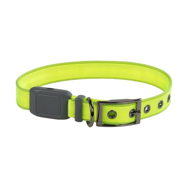 Nite Ize NiteDog - L - Lime/Green Rechargeable LED Collar