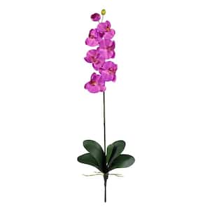 Orchid Phalaenopsis Stem (Set of 6)