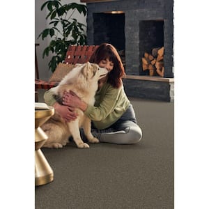 Pioneer - Moccasin - Brown 73.5 oz. SD Polyester Texture Installed Carpet
