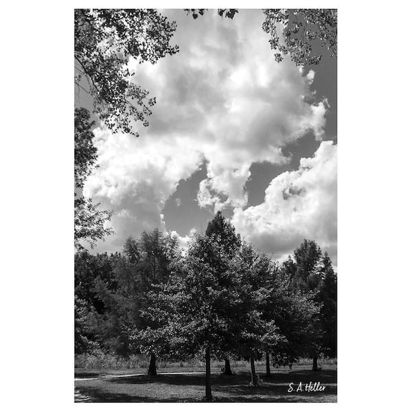 Kansas Clouds by Steven a Heller 1-Piece Unframed Canvas Drawing Print 20 in. x 30 in.
