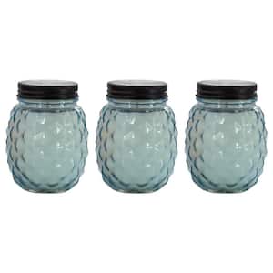 9 oz. Glass Pineapple Citronella and Lemongrass Candle (3-Pack)