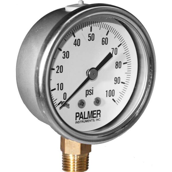 Palmer Instruments 2.5 in. Dial 100 psi Stainless Steel Case Gauge