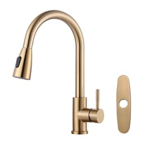 Single-Handle High Arc Kitchen Faucet with Pull Down Sprayer and Deckplate in Gold