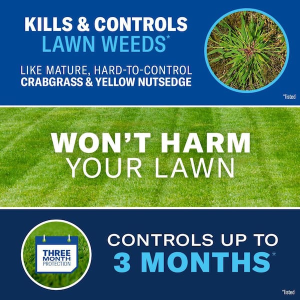 32 oz. Concentrate All-in-One Lawn Weed and Crabgrass Killer