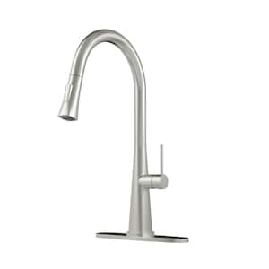 Kitchen Sink Faucet Pull Out Sprayer Mixer Tap Kitchen Faucet with Deckplate in Brushed Nickel