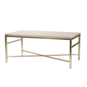 Bernadette 24 in. L White 18 in. H Rectangle MDF Coffee Table