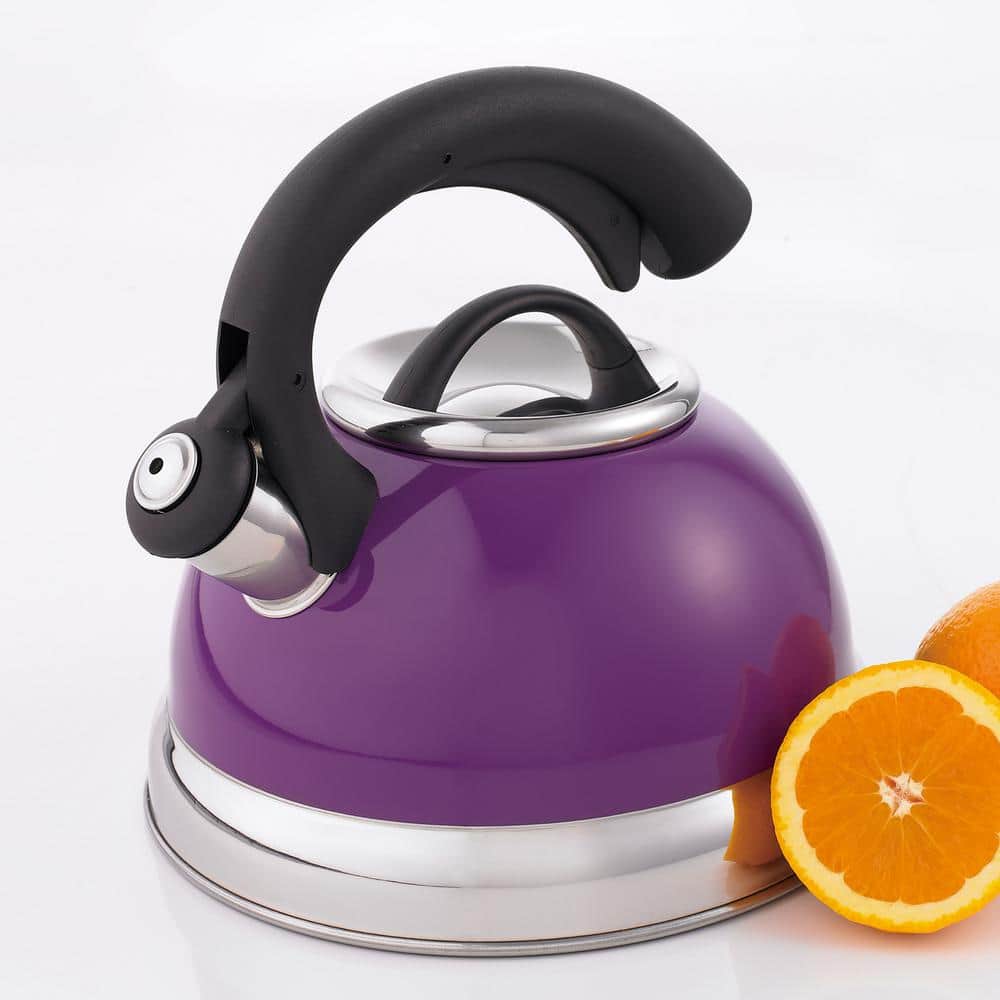 Plum Stainless Steel 2.6 Qt Whistling Tea Kettle