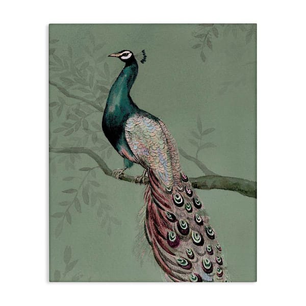 Stupell Industries Regal Peacock on Branch by Cloverfield & Co. Unframed Animal Graphic Art Print 20 in. x 16 in.