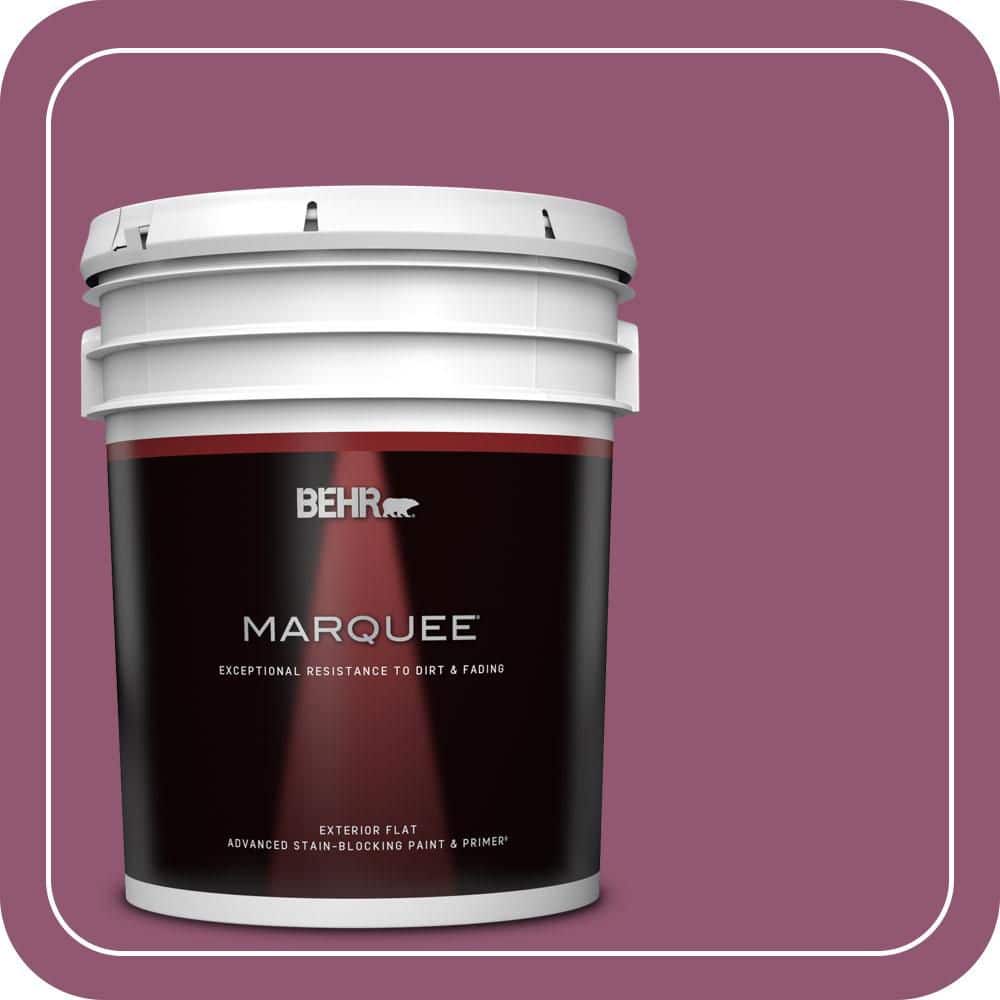 5 gal. Home Decorators Collection #HDC-AC-28A Carnation Festival Flat Exterior Paint & Primer price history on PriceWatchPro