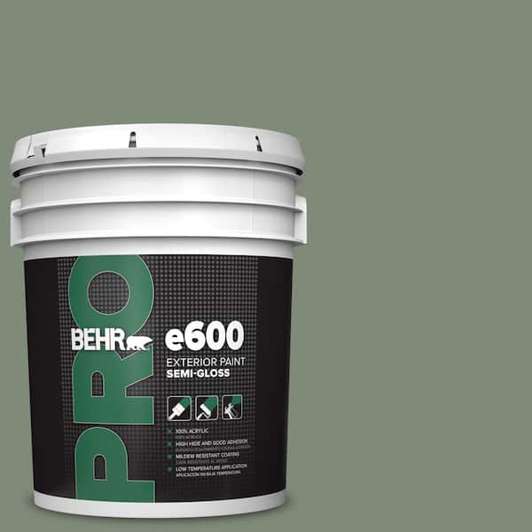 5 gal. #N400-5 Thai Basil Semi-Gloss Exterior Paint