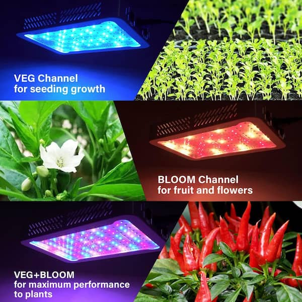 1000W Full Spectrum LED Grow Light Fixture for Indoor Plants, Dimmable Plant Lamp for Hydroponic Veg and Flower