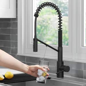 Oletto 2-in-1 Commercial Style Pull-Down Single Handle Water Filter Kitchen Faucet in Matte Black