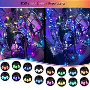 Outdoor 48 ft. Plug-in 15 Globe Bulb RGB String Light with Rope Fairy