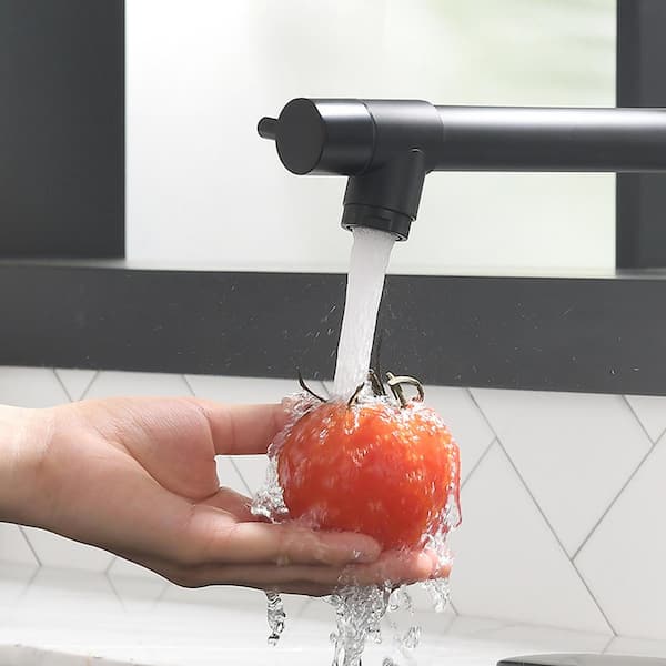 Single Handle Pull Out Sprayer Kitchen Faucet with Soap Dispenser Include Cover Deck Plate in Matte Black