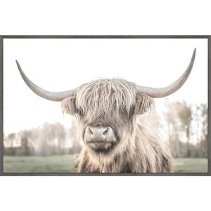 "Cattle Portrait" by Marmont Hill Floater Framed Canvas Animal Art Print 20 in. x 30 in.
