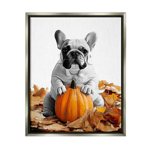 Stupell Industries Puppy with Fall Pumpkin by Annalisa Latella 1-Piece Floater Frame Graphic Print Animal Poster Art Print 21 in. x 17 in.