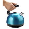 Sencor 6-Cup Copper Metallic Electric Kettle with Temperature Control  SWK1573CO - The Home Depot