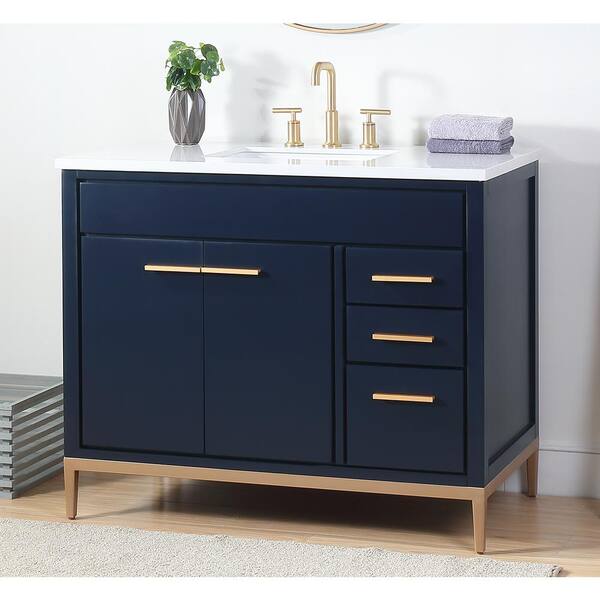 Beatrice 42 in. W x 22 in. D x 35 in. H Bath Vanity in Navy Blue