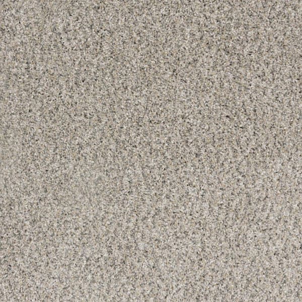 Bolter II -Citidael- Brown 53.9 oz. Triexta Polyester Textured Installed Carpet