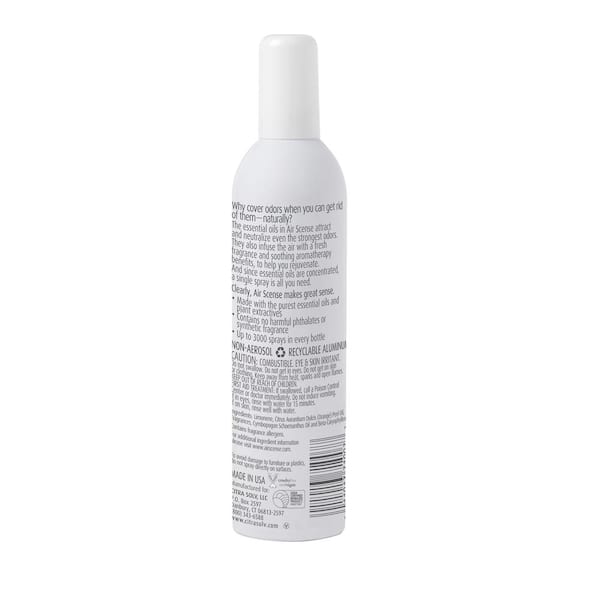 AIR SCENSE 7 fl. oz. Orange Air Freshener Spray (4-Pack) AIROR4PK - The  Home Depot