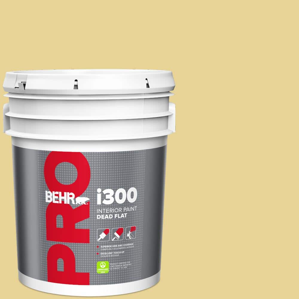 5 gal. #390D-4 Honey Beige Dead Flat Interior Paint price history on PriceWatchPro